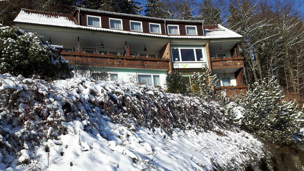 Pension Talblick Bad Grund Exterior photo